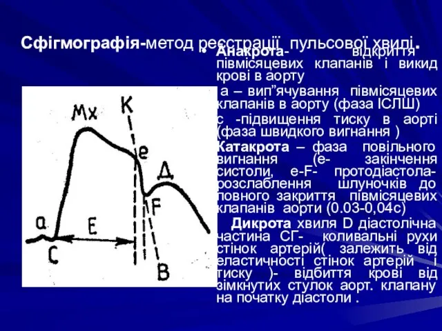 Сфігмографія-метод реєстрації пульсової хвилі. Анакрота- відкриття півмісяцевих клапанів і викид крові