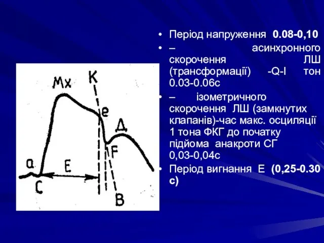 Період напруження 0.08-0,10 – асинхронного скорочення ЛШ (трансформації) -Q-I тон 0.03-0.06с