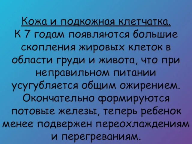 Кожа и подкожная клетчатка. К 7 годам появляются большие скопления жировых