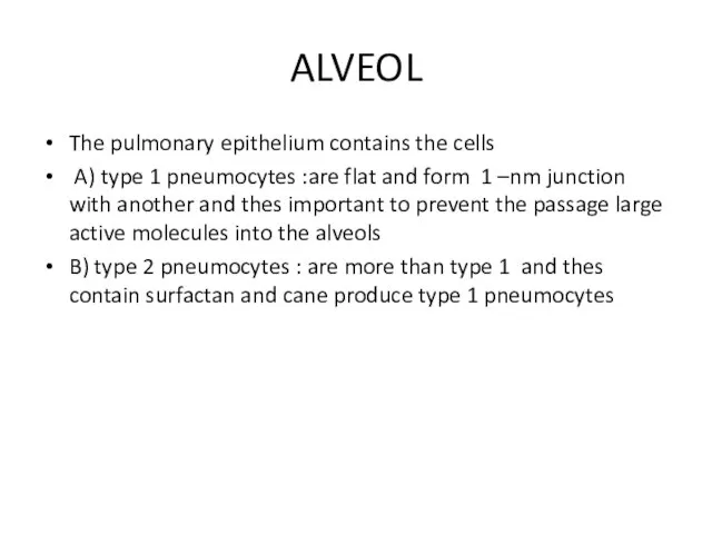 ALVEOL The pulmonary epithelium contains the cells A) type 1 pneumocytes