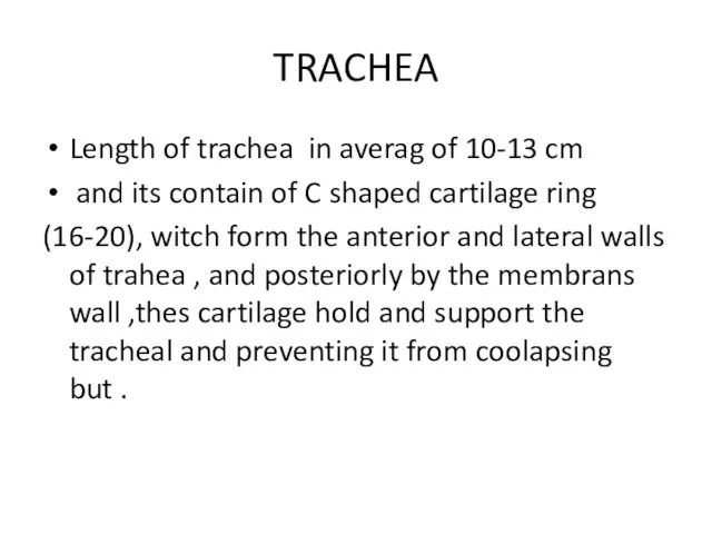 TRACHEA Length of trachea in averag of 10-13 cm and its