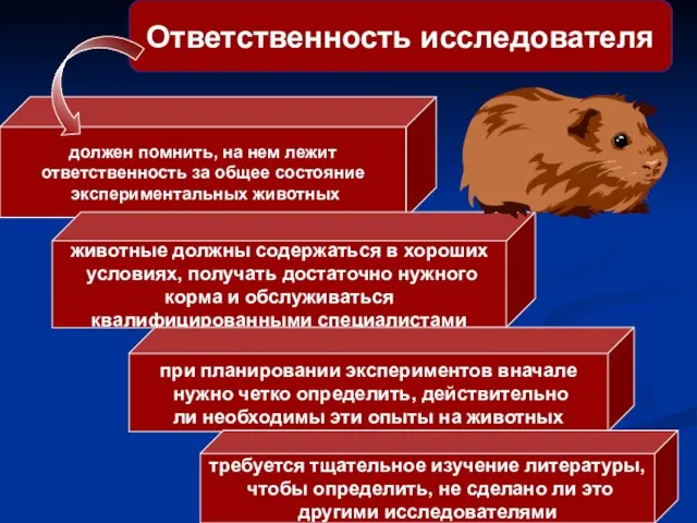 Ответственность исследователя должен помнить, на нем лежит ответственность за общее состояние