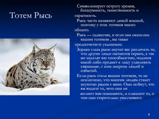 Тотем Рысь Символизирует остроту зрения, бесшумность, таинственность и скрытность. Рысь часто