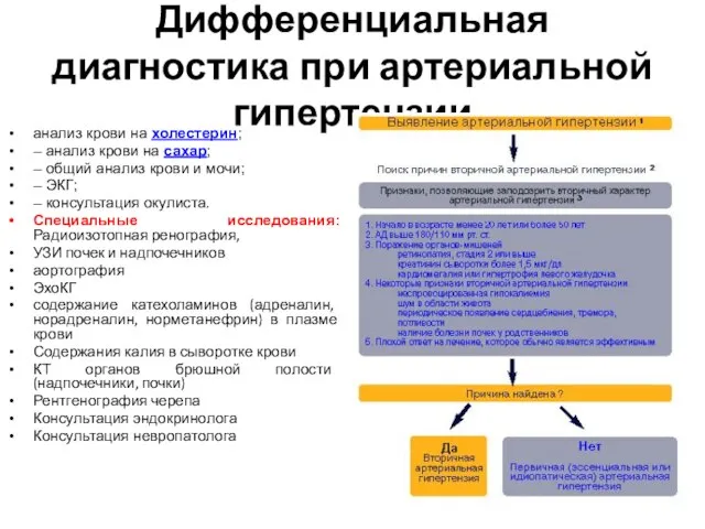 Дифференциальная диагностика при артериальной гипертензии анализ крови на холестерин; – анализ