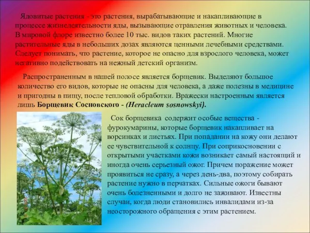 Ядовитые растения - это растения, вырабатывающие и накапливающие в процессе жизнедеятельности