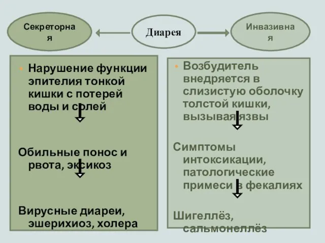 Инвазивная Секреторная Диарея Нарушение функции эпителия тонкой кишки с потерей воды