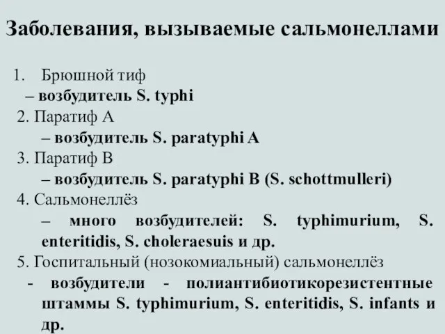 Заболевания, вызываемые сальмонеллами Брюшной тиф – возбудитель S. typhi 2. Паратиф