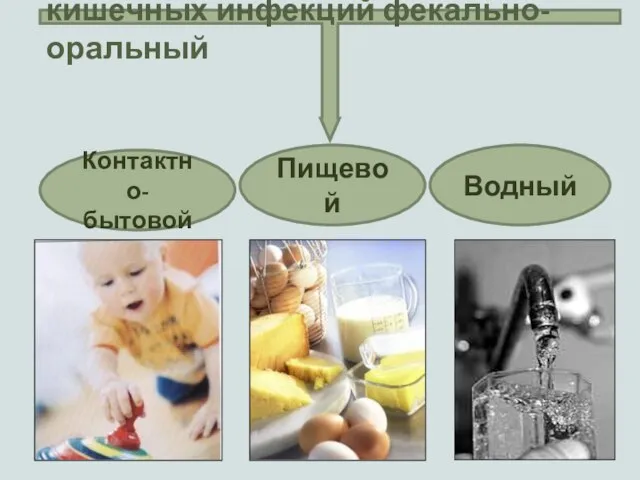 Механизм передачи острых кишечных инфекций фекально-оральный Контактно-бытовой Пищевой Водный