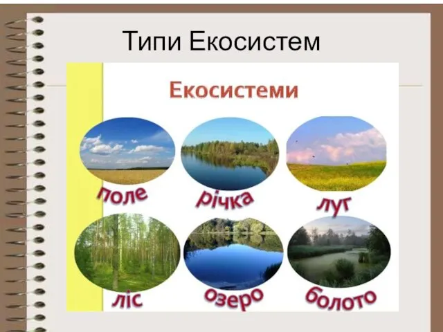 Типи Екосистем