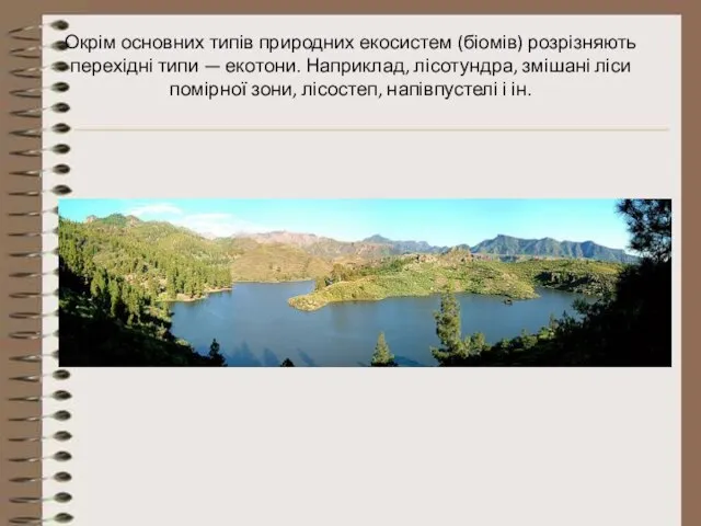 Окрім основних типів природних екосистем (біомів) розрізняють перехідні типи — екотони.