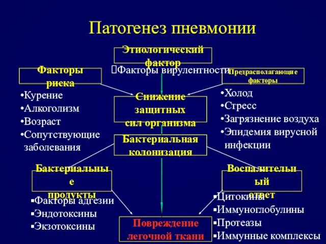 Патогенез пневмонии Этиологический фактор Факторы риска Предрасполагающие факторы Факторы вирулентности Холод