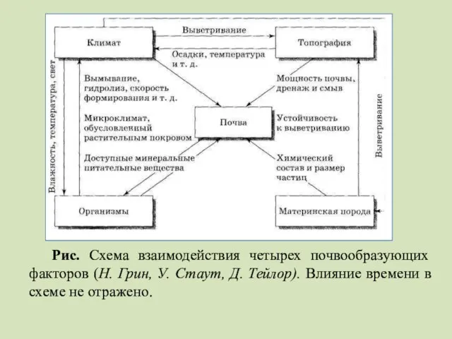 Рис. Схема взаимодействия четырех почвообразующих факторов (Н. Грин, У. Стаут, Д.