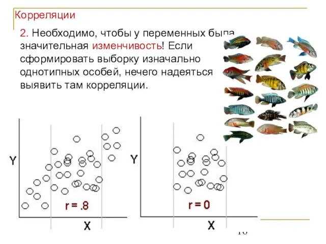 2. Необходимо, чтобы у переменных была значительная изменчивость! Если сформировать выборку