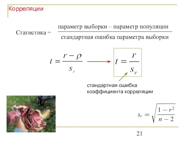 Корреляции стандартная ошибка коэффициента корреляции