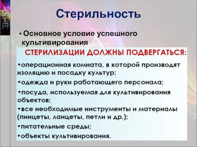 Стерильность Основное условие успешного культивирования