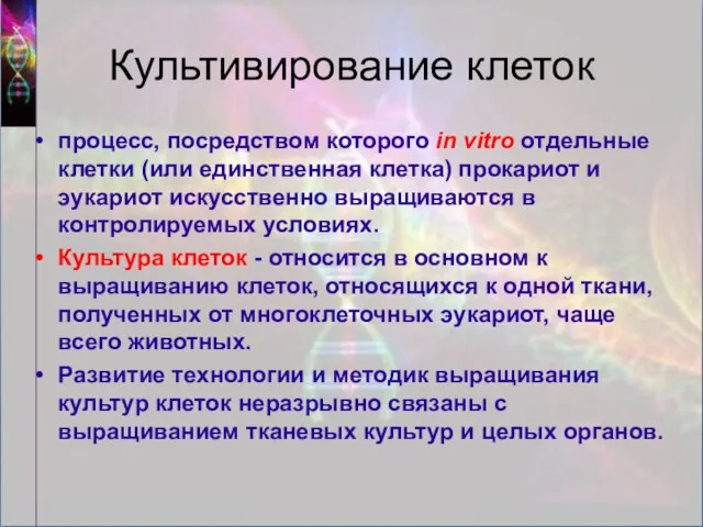 Культивирование клеток процесс, посредством которого in vitro отдельные клетки (или единственная