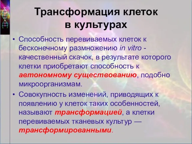 Трансформация клеток в культурах Способность перевиваемых клеток к бесконечному размножению in