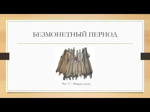 БЕЗМОНЕТНЫЙ ПЕРИОД Рис. 17 – Шкурки куниц.