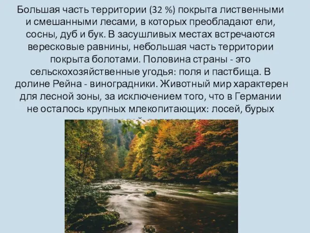 Большая часть территории (32 %) покрыта лиственными и смешанными лесами, в