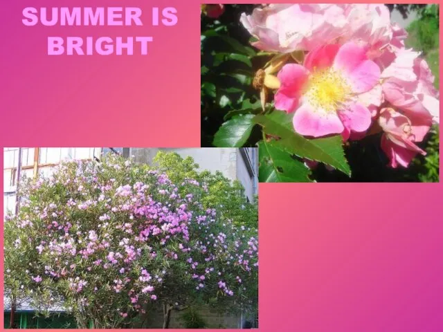 SUMMER IS BRIGHT