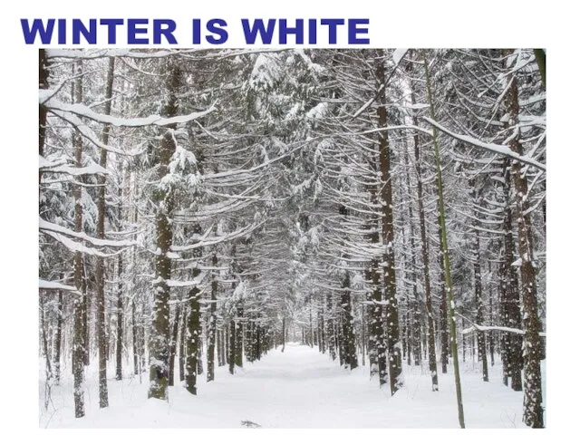 WINTER IS WHITE