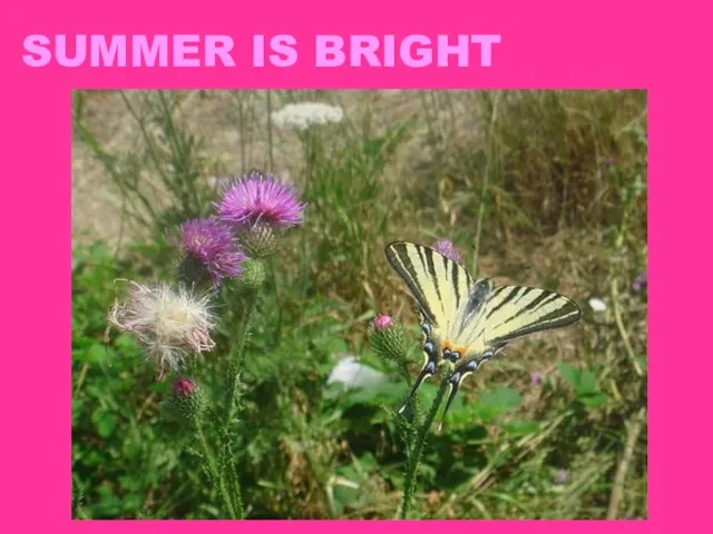 SUMMER IS BRIGHT