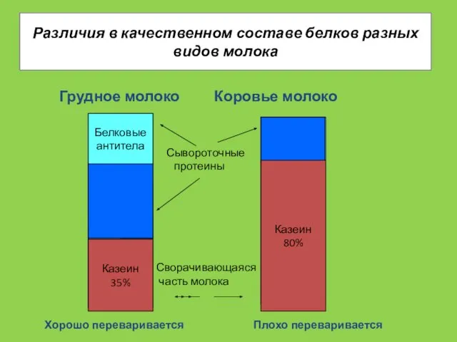 Различия в качественном составе белков разных видов молока Грудное молоко Коровье