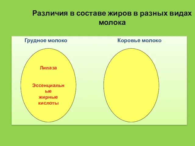 Различия в составе жиров в разных видах молока Грудное молоко Коровье молоко Липаза Эссенциальные жирные кислоты