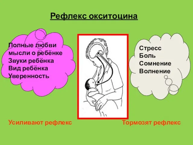 Рефлекс окситоцина Стресс Боль Сомнение Волнение Тормозят рефлекс Полные любви мысли