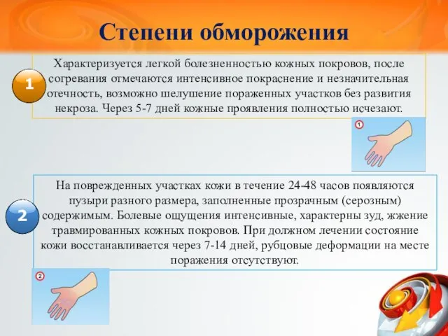 На поврежденных участках кожи в течение 24-48 часов появляются пузыри разного