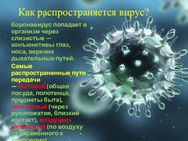 Как распространяется вирус? Коронавирус попадает в организм через слизистые — конъюнктивы