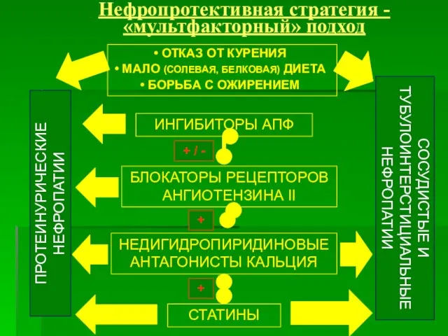 Нефропротективная стратегия - «мультфакторный» подход ИНГИБИТОРЫ АПФ БЛОКАТОРЫ РЕЦЕПТОРОВ АНГИОТЕНЗИНА II