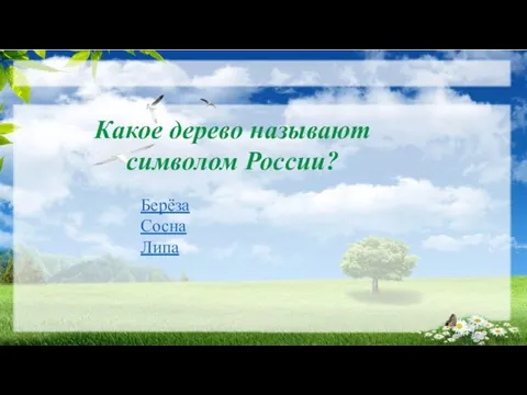 Какое дерево называют символом России? Берёза Сосна Липа