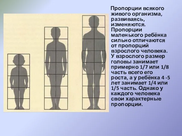 Пропорции всякого живого организма, развиваясь, изменяются. Пропорции маленького ребёнка сильно отличаются