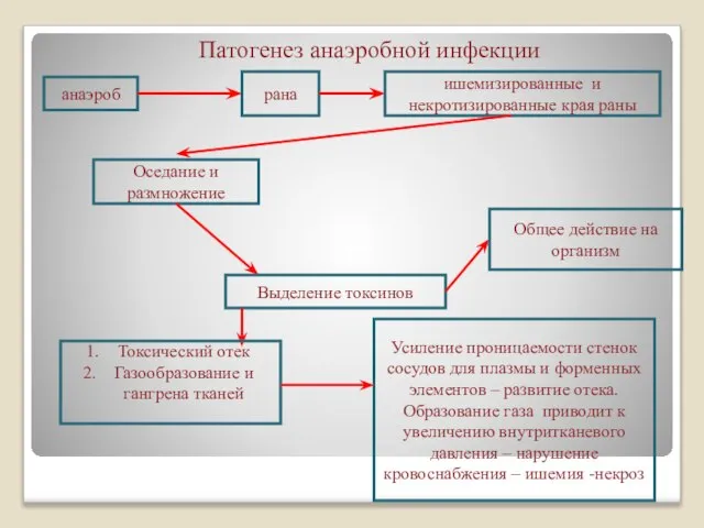 Патогенез анаэробной инфекции анаэроб рана ишемизированные и некротизированные края раны Оседание