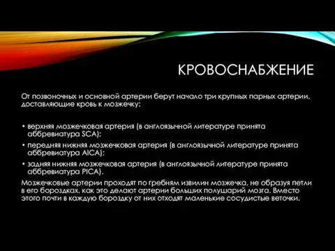 КРОВОСНАБЖЕНИЕ От позвоночных и основной артерии берут начало три крупных парных