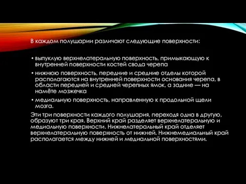 В каждом полушарии различают следующие поверхности: выпуклую верхнелатеральную поверхность, примыкающую к