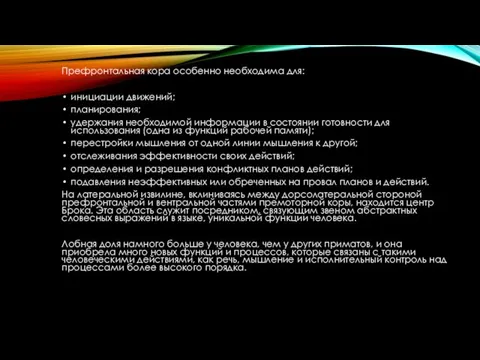 Префронтальная кора особенно необходима для: инициации движений; планирования; удержания необходимой информации