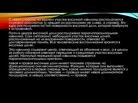 С левой стороны на заднем участке височной извилины располагается слуховой анализатор