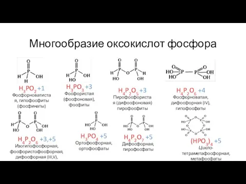 Многообразие оксокислот фосфора H3PO2 +1 Фосфорноватистая, гипофосфиты (фосфинаты) H3PO3 +3 Фосфористая