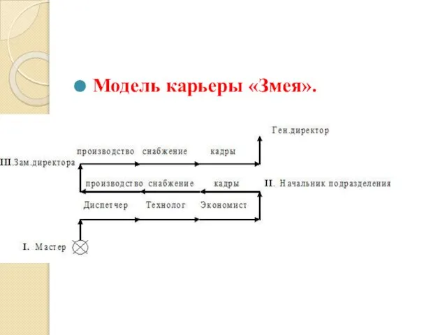 Модель карьеры «Змея».