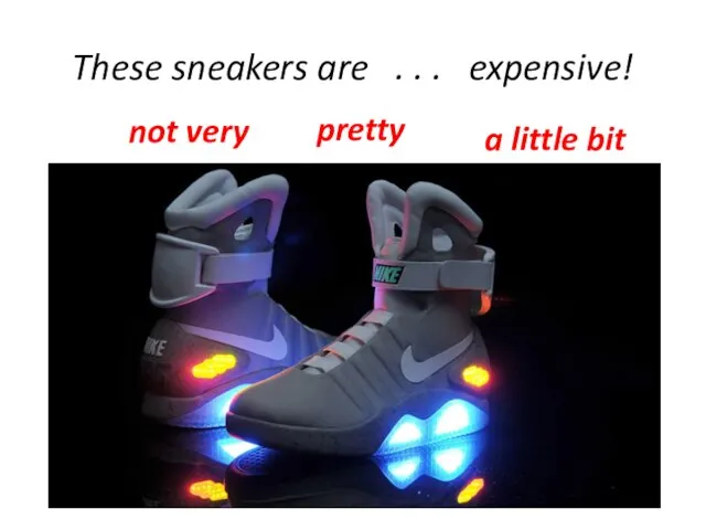 These sneakers are . . . expensive! pretty not very a little bit