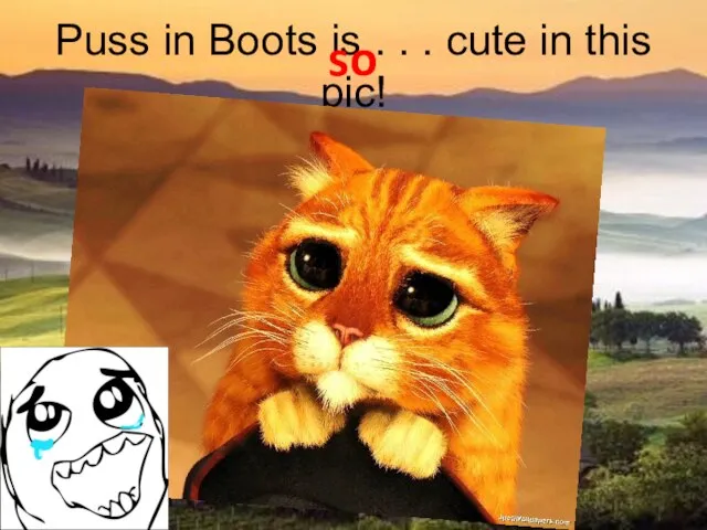 Puss in Boots is . . . cute in this pic! so