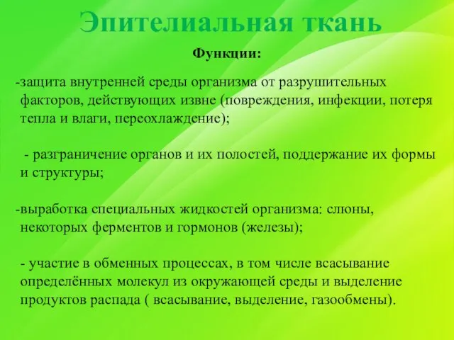 Эпителиальная ткань Функции: защита внутренней среды организма от разрушительных факторов, действующих