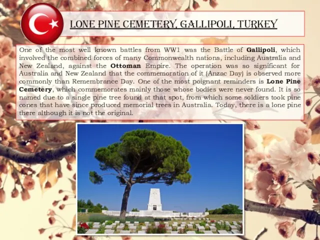 Lone Pine Cemetery, Gallipoli, Turkey One of the most well known