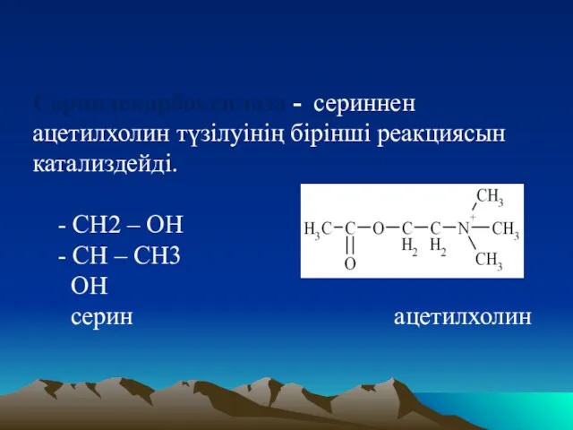 Сериндекарбоксилаза - сериннен ацетилхолин түзілуінің бірінші реакциясын катализдейді. - СН2 –