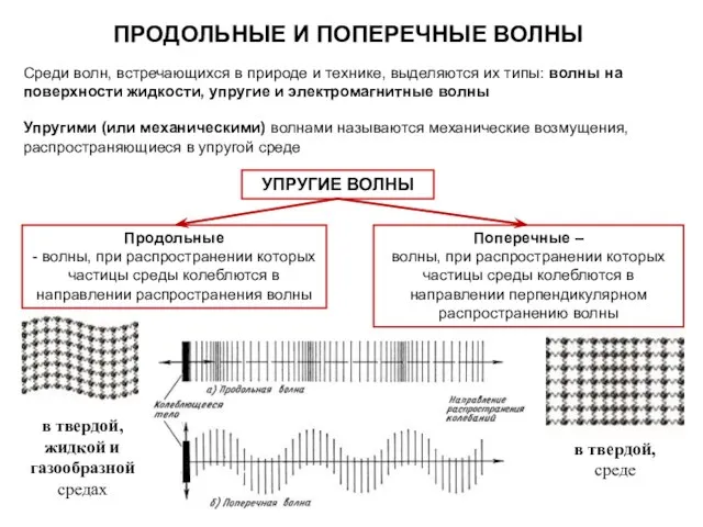 ПРОДОЛЬНЫЕ И ПОПЕРЕЧНЫЕ ВОЛНЫ Среди волн, встречающихся в природе и технике,