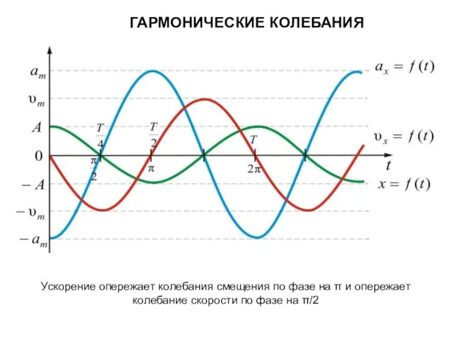 ГАРМОНИЧЕСКИЕ КОЛЕБАНИЯ Ускорение опережает колебания смещения по фазе на π и