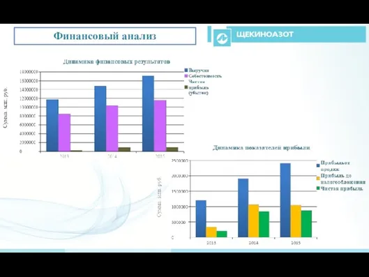 Финансовый анализ