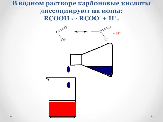 В водном растворе карбоновые кислоты диссоциируют на ионы: RCOOH ↔ RCOO- + H+.